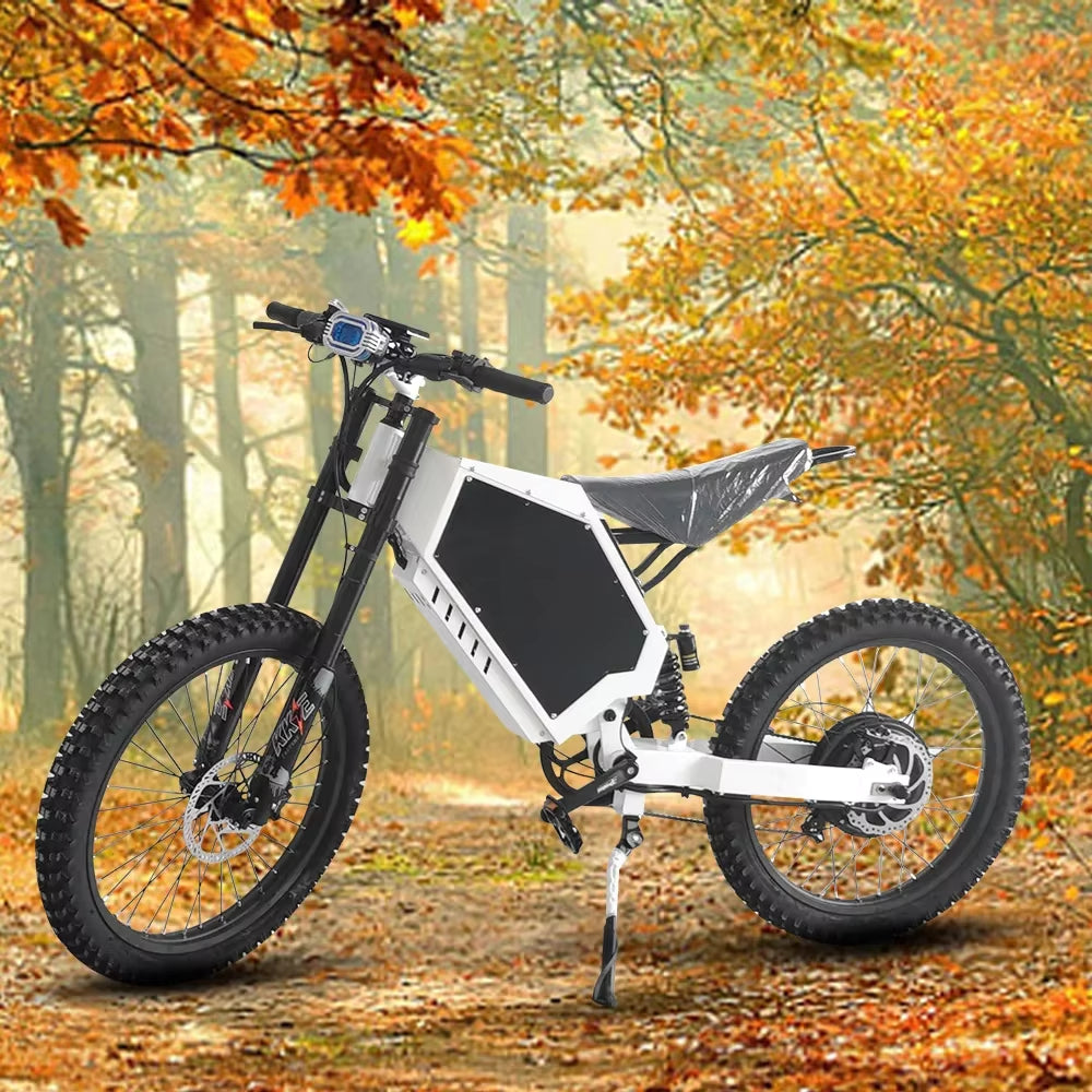 New Style Super Bomber 3000W Power Electric City Bike 48V 20AH Lithium Battery 20 Inch Tires  for Adults